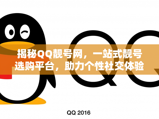 揭秘QQ靓号网，一站式靓号选购平台，助力个性社交体验升级