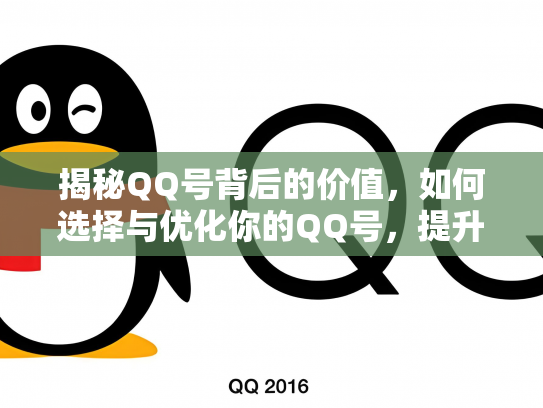 揭秘QQ号背后的价值，如何选择与优化你的QQ号，提升个人品牌影响力