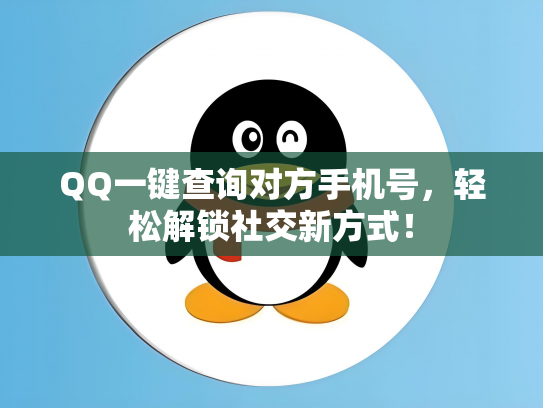 QQ一键查询对方手机号，轻松解锁社交新方式！
