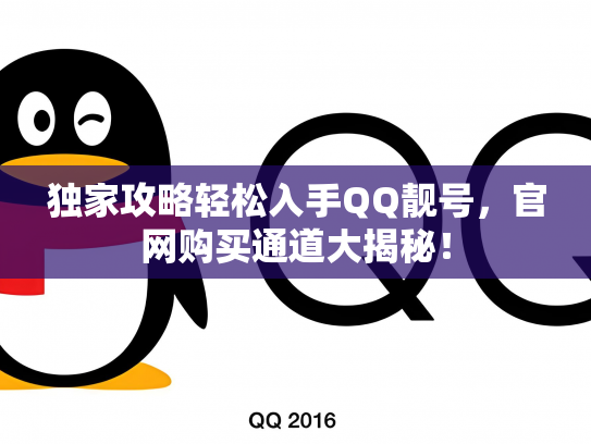 独家攻略轻松入手QQ靓号，官网购买通道大揭秘！