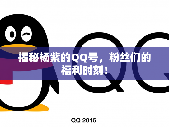 揭秘杨紫的QQ号，粉丝们的福利时刻！