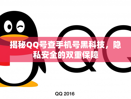 揭秘QQ号查手机号黑科技，隐私安全的双重保障