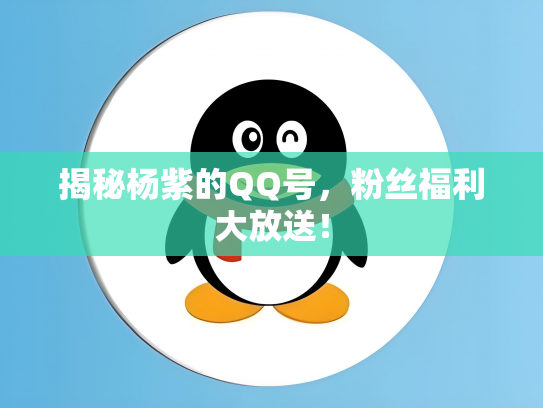 揭秘杨紫的QQ号，粉丝福利大放送！