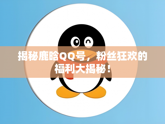 揭秘鹿晗QQ号，粉丝狂欢的福利大揭秘！