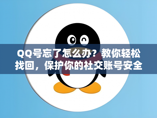 QQ号忘了怎么办？教你轻松找回，保护你的社交账号安全！