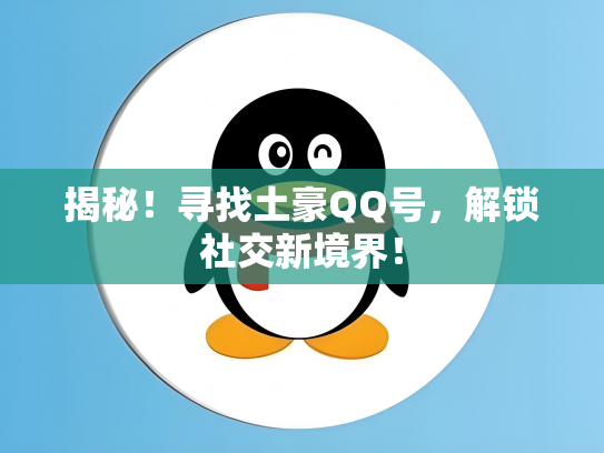揭秘！寻找土豪QQ号，解锁社交新境界！