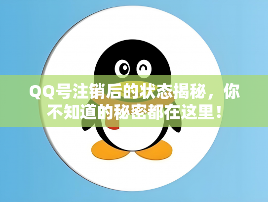 QQ号注销后的状态揭秘，你不知道的秘密都在这里！