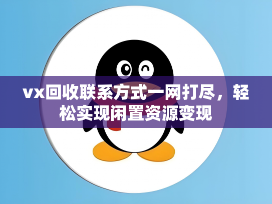 vx回收联系方式一网打尽，轻松实现闲置资源变现