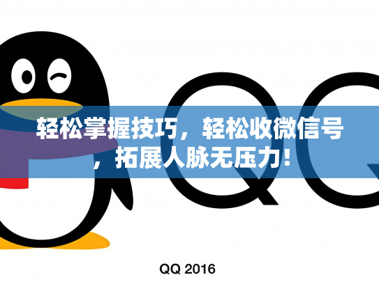 轻松掌握技巧，轻松收微信号，拓展人脉无压力！