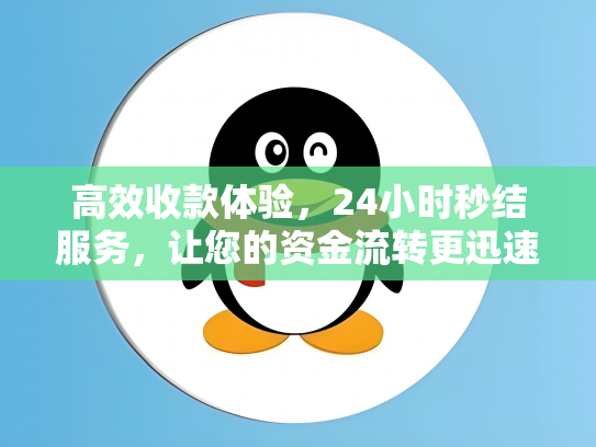 高效收款体验，24小时秒结服务，让您的资金流转更迅速！