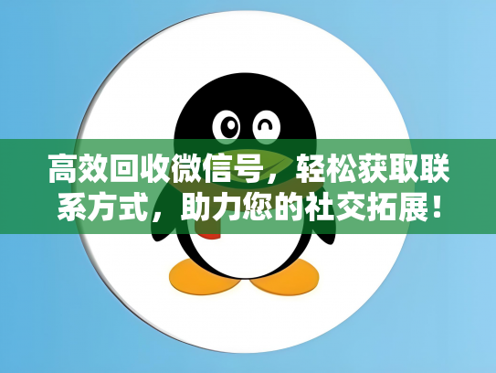 高效回收微信号，轻松获取联系方式，助力您的社交拓展！