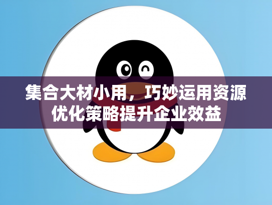 集合大材小用，巧妙运用资源优化策略提升企业效益