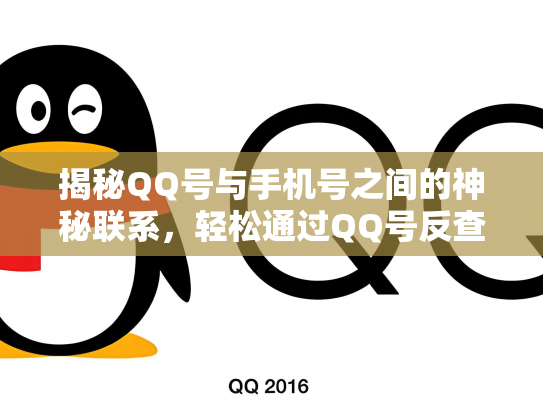 揭秘QQ号与手机号之间的神秘联系，轻松通过QQ号反查手机号！