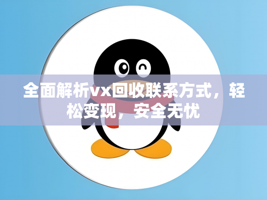 全面解析vx回收联系方式，轻松变现，安全无忧
