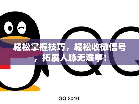轻松掌握技巧，轻松收微信号，拓展人脉无难事！