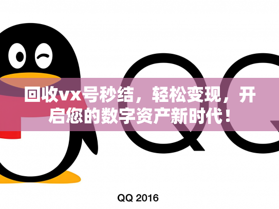 回收vx号秒结，轻松变现，开启您的数字资产新时代！