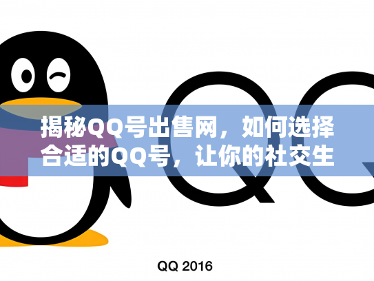 揭秘QQ号出售网，如何选择合适的QQ号，让你的社交生活更精彩
