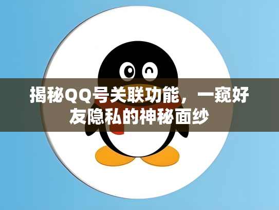 揭秘QQ号关联功能，一窥好友隐私的神秘面纱