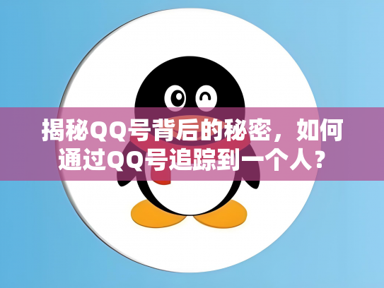 揭秘QQ号背后的秘密，如何通过QQ号追踪到一个人？
