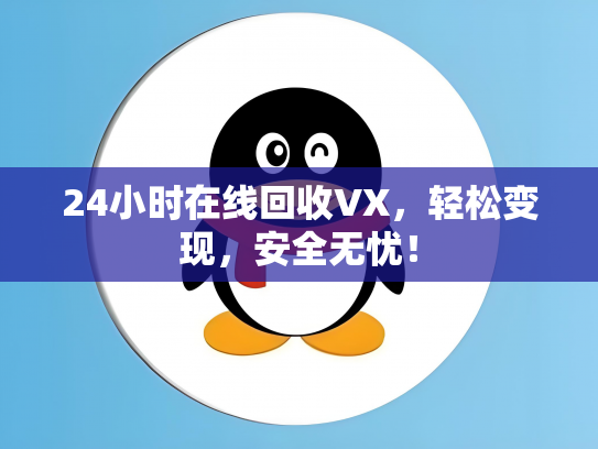 24小时在线回收VX，轻松变现，安全无忧！