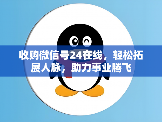 收购微信号24在线，轻松拓展人脉，助力事业腾飞