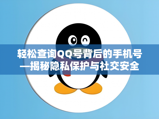 轻松查询QQ号背后的手机号—揭秘隐私保护与社交安全