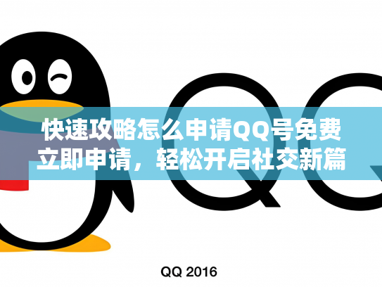快速攻略怎么申请QQ号免费立即申请，轻松开启社交新篇章！
