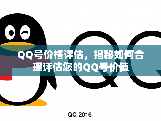 QQ号价格评估，揭秘如何合理评估您的QQ号价值